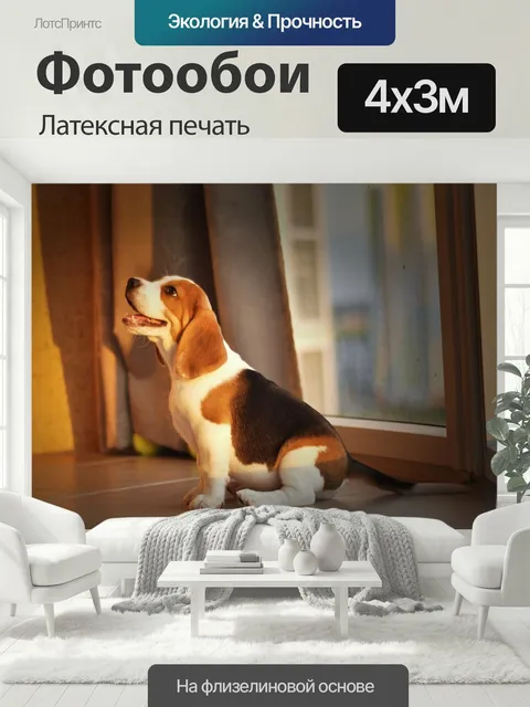 400 × 300 см · Латексная печать