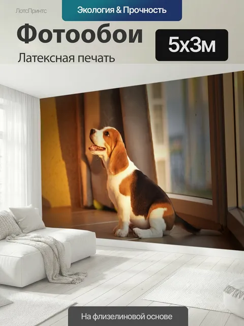 500 × 300 см · Латексная печать