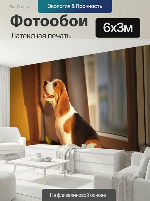 600 × 300 см · Латексная печать
