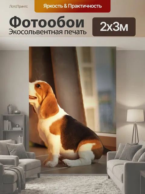 200 × 300 см · Экосольвентная печать