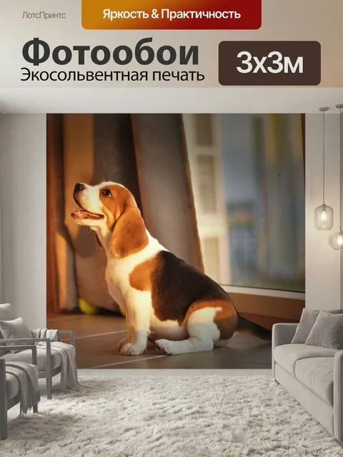 Фотообои Бигль, щенок, собака
