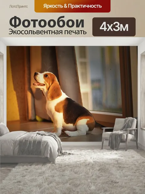 400 × 300 см · Экосольвентная печать