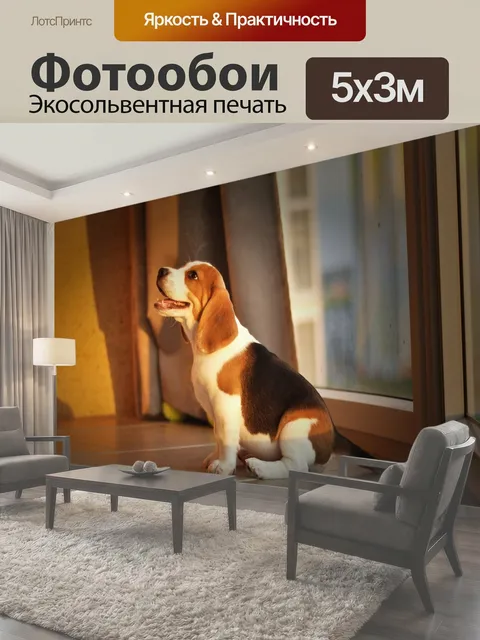 500 × 300 см · Экосольвентная печать