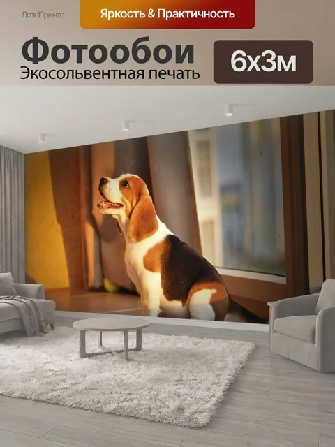 600 × 300 см · Экосольвентная печать