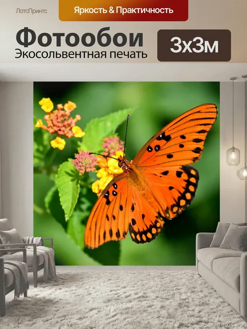 Фотообои Яркая фруктовая бабочка Красивая бабочка в саду fritillary бабочка насекомое дикая природа сад бабочки природ…