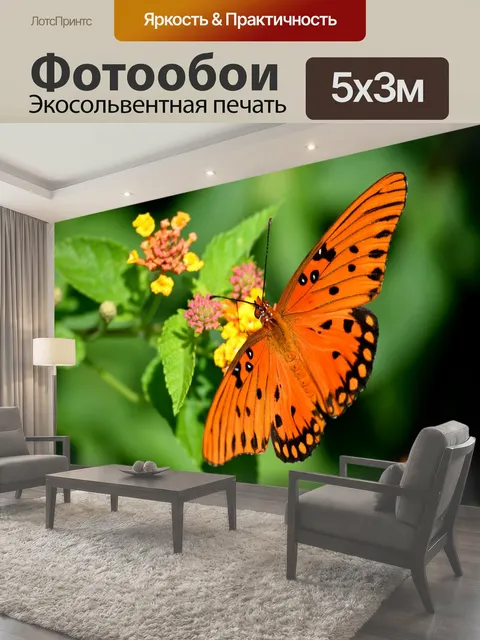 Фотообои Яркая фруктовая бабочка Красивая