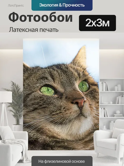 200 × 300 см · Латексная печать