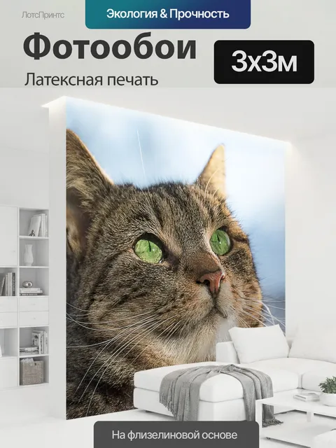 300 × 300 см · Латексная печать