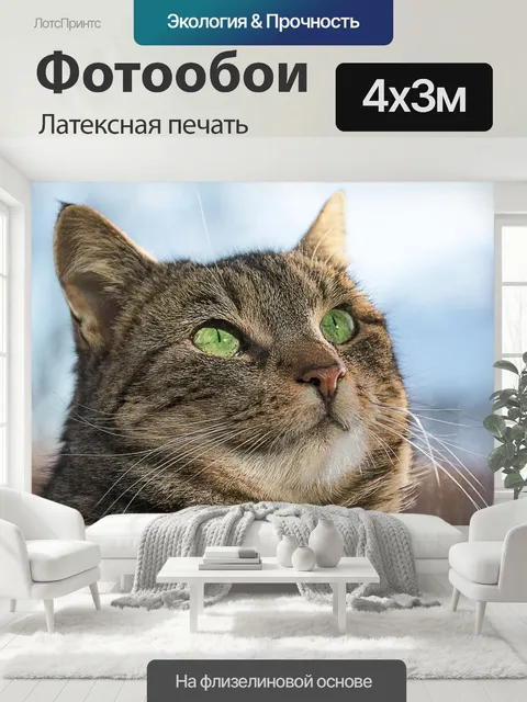 400 × 300 см · Латексная печать