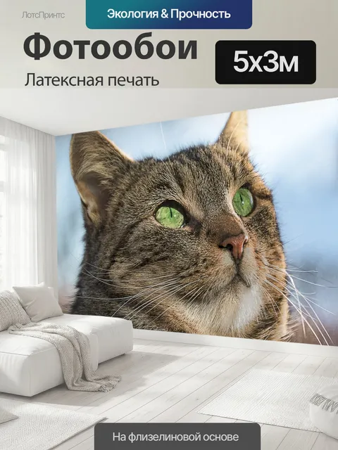 500 × 300 см · Латексная печать