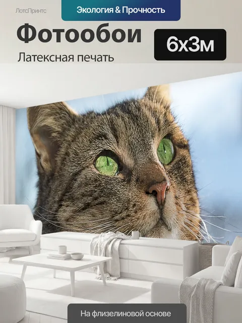 600 × 300 см · Латексная печать
