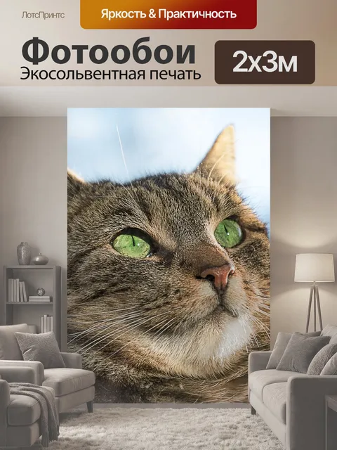 200 × 300 см · Экосольвентная печать