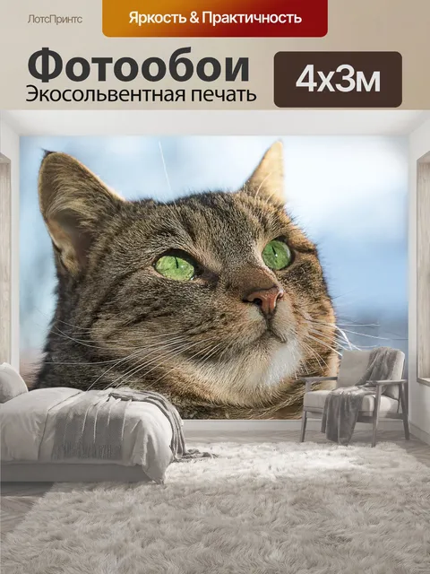 400 × 300 см · Экосольвентная печать