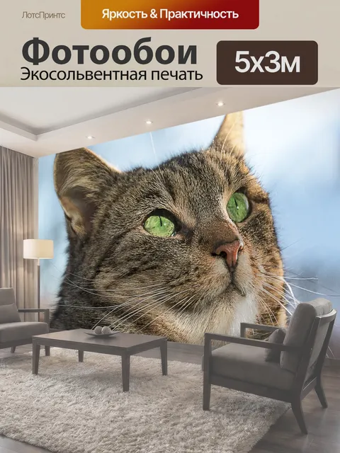 500 × 300 см · Экосольвентная печать