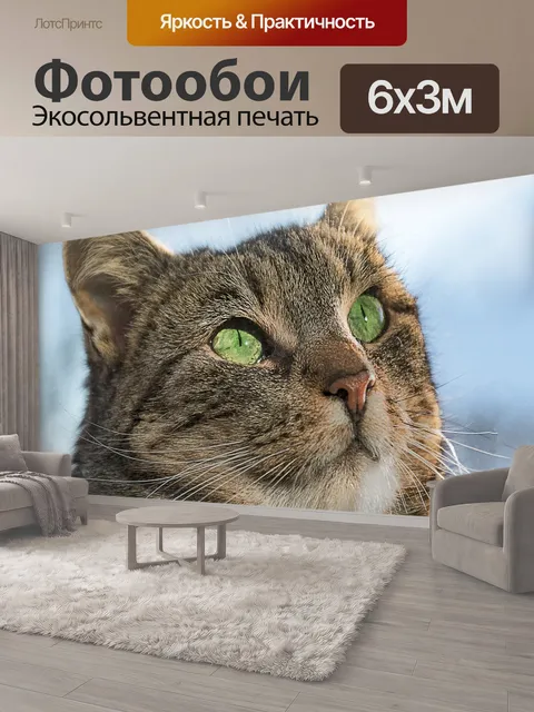 600 × 300 см · Экосольвентная печать