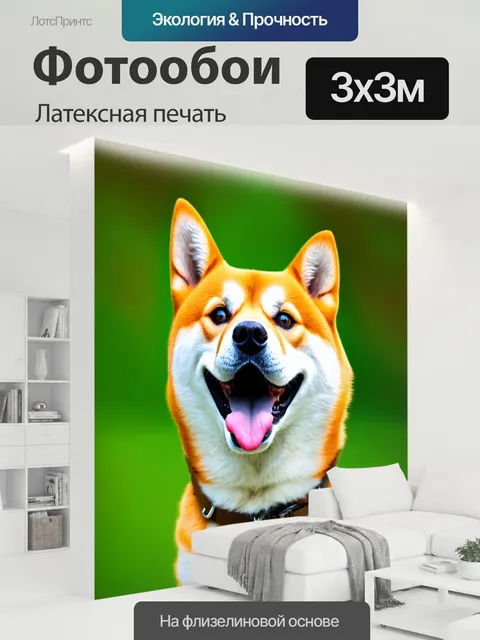 300 × 300 см · Латексная печать