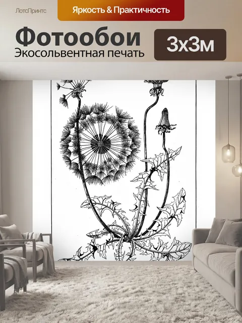 Фотообои Винтажные иллюстрации одуванчика Старинные иллюстрации цветок одуванчика рисунок графика старый античный обра…