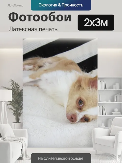 200 × 300 см · Латексная печать
