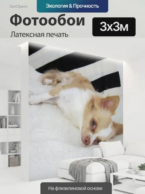 300 × 300 см · Латексная печать