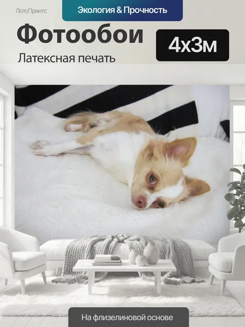 400 × 300 см · Латексная печать