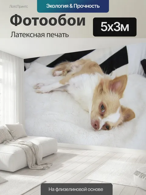 500 × 300 см · Латексная печать