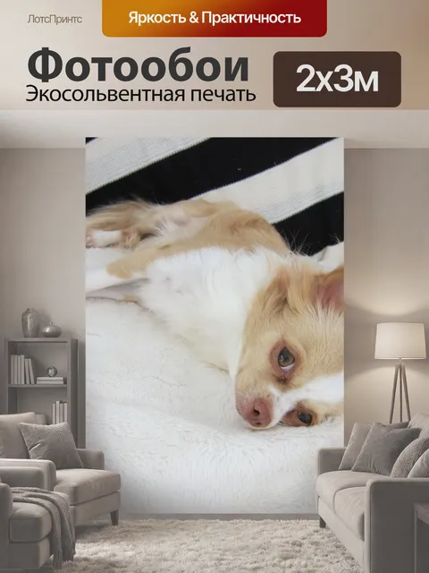 200 × 300 см · Экосольвентная печать