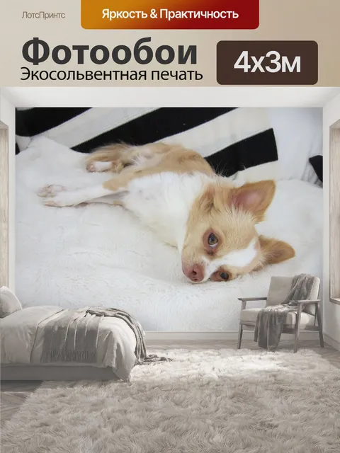 400 × 300 см · Экосольвентная печать