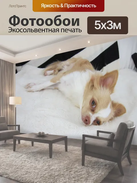 500 × 300 см · Экосольвентная печать