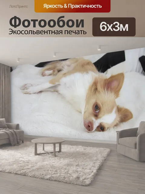 600 × 300 см · Экосольвентная печать
