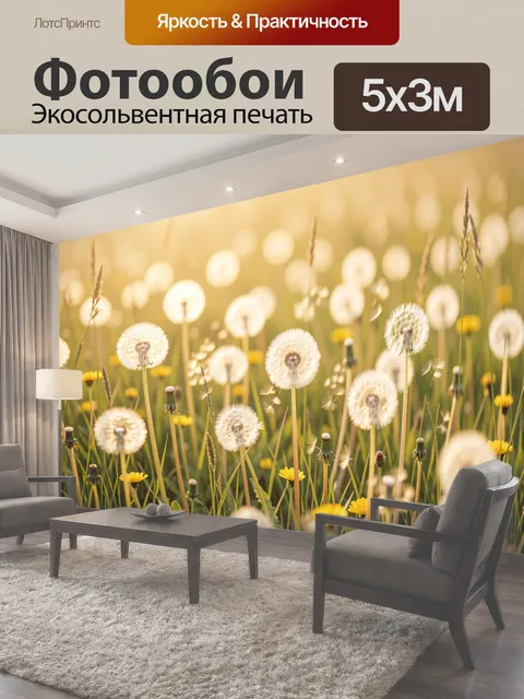 Фотообои Луговые одуванчики на закате