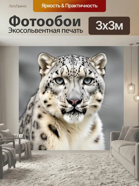 Фотообои Внимательный снежный барс животные