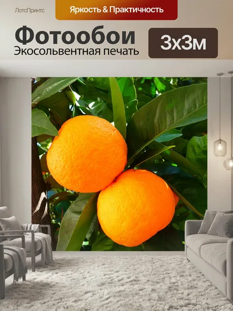 Фотообои Апельсины, дерево, листья