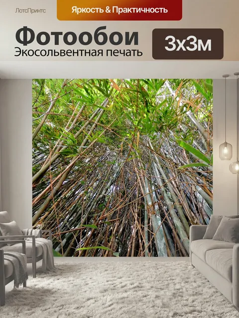 Фотообои Бамбук, бамбуковая роща, бамбуковый лес