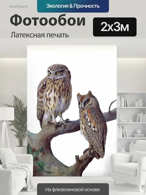 200 × 300 см · Латексная печать