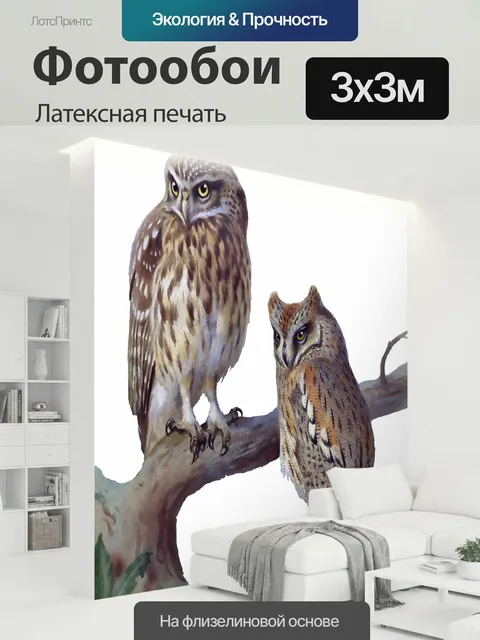 300 × 300 см · Латексная печать