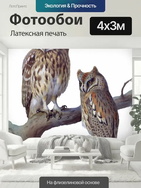 400 × 300 см · Латексная печать