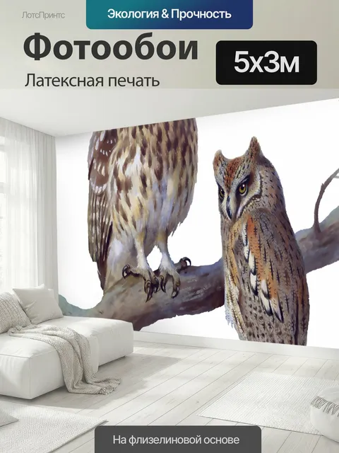 500 × 300 см · Латексная печать