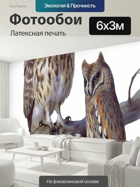 600 × 300 см · Латексная печать