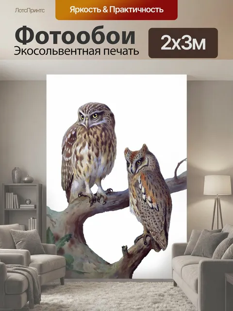 200 × 300 см · Экосольвентная печать