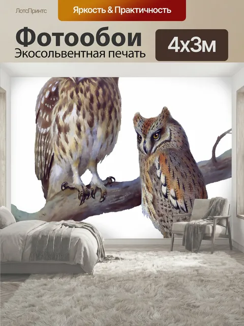 400 × 300 см · Экосольвентная печать