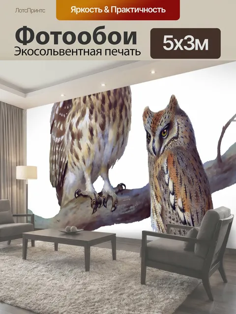 Фотообои Сова акварель Картина Маленькая