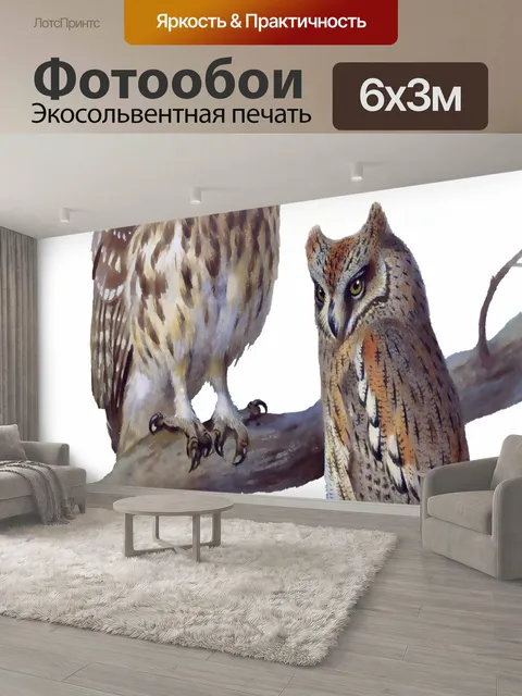 600 × 300 см · Экосольвентная печать