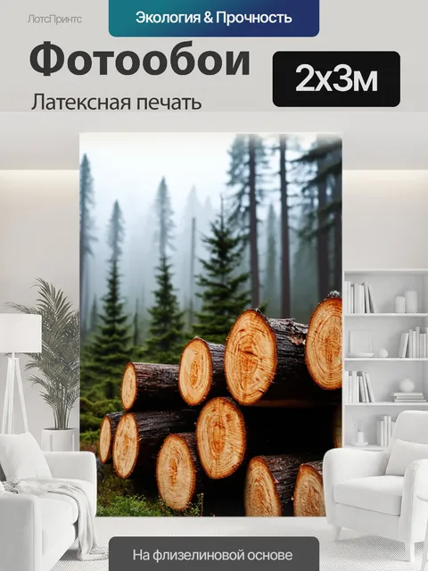 200 × 300 см · Латексная печать
