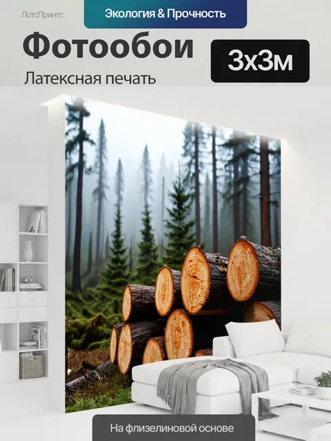 300 × 300 см · Латексная печать