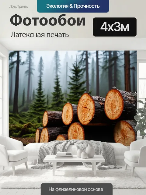 400 × 300 см · Латексная печать