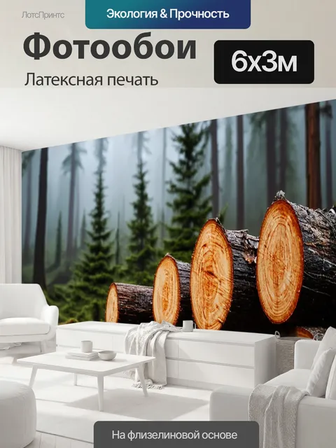 600 × 300 см · Латексная печать