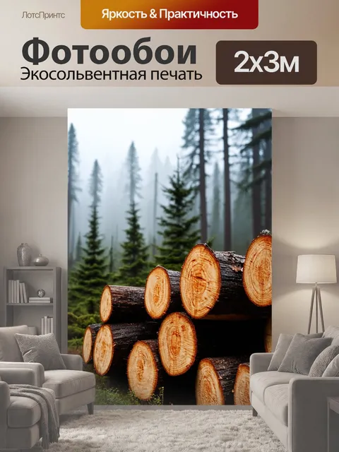 200 × 300 см · Экосольвентная печать