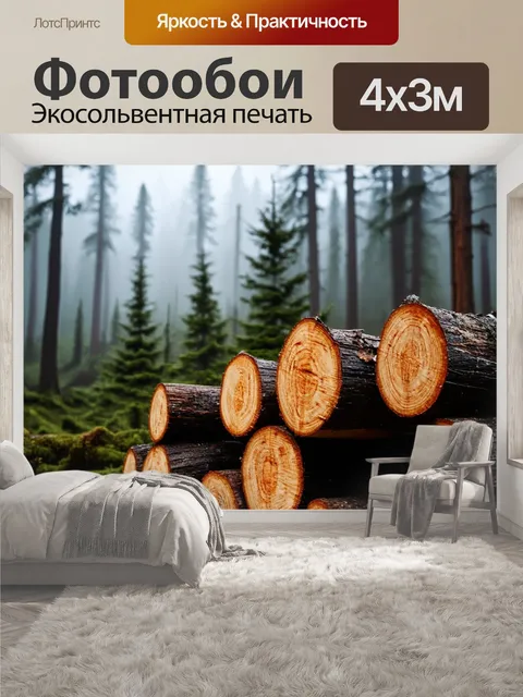 400 × 300 см · Экосольвентная печать