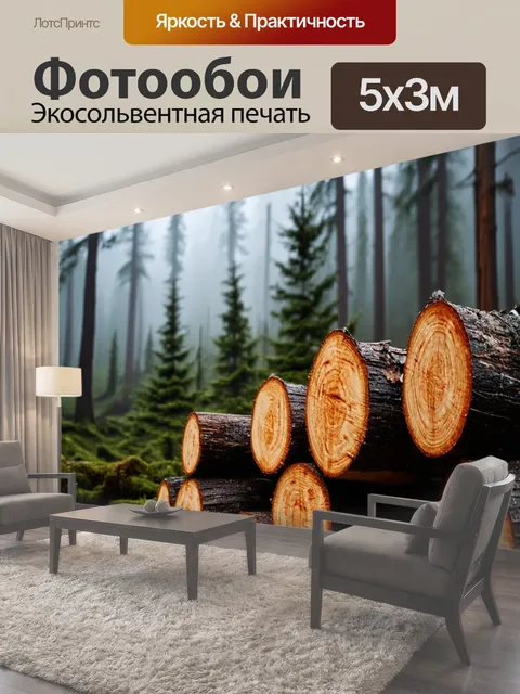 500 × 300 см · Экосольвентная печать
