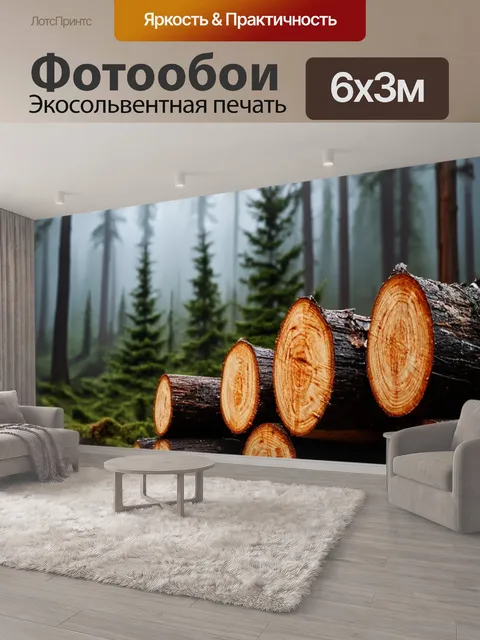 600 × 300 см · Экосольвентная печать